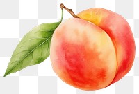 PNG Peach fruit plant food transparent background