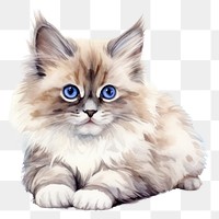 PNG Drawing mammal animal kitten. AI generated Image by rawpixel.