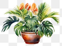 PNG Flower plant vase leaf. 