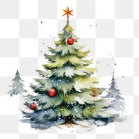 PNG Christmas plant tree anticipation. AI generated Image by rawpixel.
