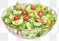 PNG Salad plate food vegetable. AI generated Image by rawpixel.