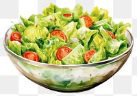 PNG Vegetable lettuce food freshness. AI generated Image by rawpixel.