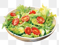PNG Salad vegetable lettuce plant. AI generated Image by rawpixel.