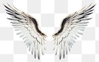 PNG Flying angel bird archangel. 