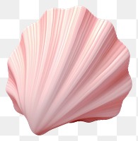 PNG Sea shell white background invertebrate simplicity. AI generated Image by rawpixel.