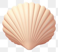 PNG Seashell clam invertebrate simplicity. 