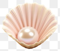 PNG Sea shell pearl seashell jewelry. AI generated Image by rawpixel.