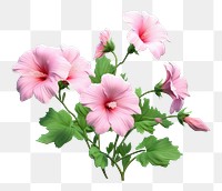 PNG Hibiscus flower plant petal. AI generated Image by rawpixel.