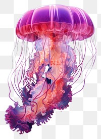 PNG Transparent jellyfish invertebrate underwater. 