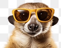 PNG Sunglasses animal wildlife meerkat. 