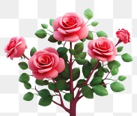 PNG Rose flower plant white background. AI generated Image by rawpixel.