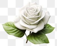 PNG Rose flower plant white. 