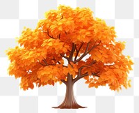 PNG Tree autumn plant maple. 