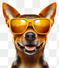 PNG Sunglasses dog mammal animal. 