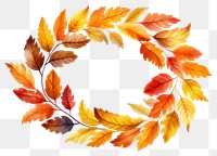 PNG Leaf pattern autumn plant transparent background