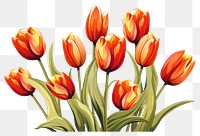 PNG Tulip flower plant transparent background