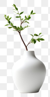 PNG  Vase porcelain plant white. AI generated Image by rawpixel.