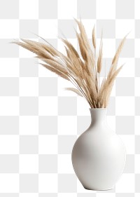 PNG Vase ceramic plant white