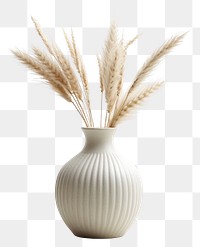 PNG Vase flower wheat plant