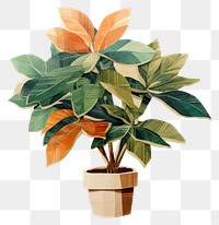 PNG Plant leaf houseplant floristry. 