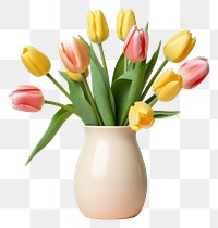 PNG Tulip vase flower plant transparent background