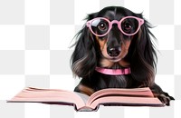 PNG Glasses reading publication dachshund. 