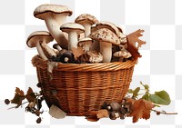 PNG Mushroom basket fungus autumn transparent background