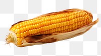 PNG Plant corn food  