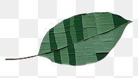 PNG Leaf plant green paper. 