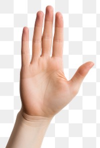 PNG Woman hand finger  gesturing. 