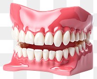 PNG Dentist dental model teeth jaw  