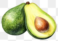 PNG Avocado fruit plant food. AI generated Image by rawpixel.