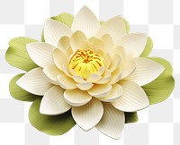 PNG Lily flower dahlia petal. 