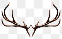 PNG Antler animal  taxidermy. 