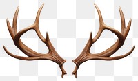 PNG Antler  taxidermy moustache. 