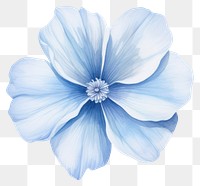 PNG Soft Blue Flower flower nature petal. AI generated Image by rawpixel.