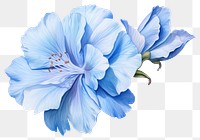 PNG Soft Blue Flower flower blossom petal. AI generated Image by rawpixel.