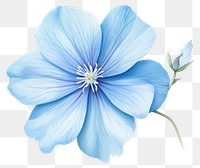 PNG Soft Blue Flower flower petal plant. 