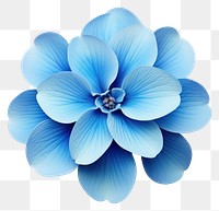PNG Blue Flower flower dahlia plant. AI generated Image by rawpixel.