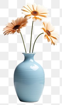 PNG Ceramic vase flower plant daisy. 