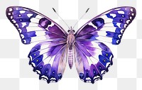 PNG Purple Emperor Butterfly butterfly insect animal. 