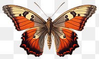PNG Butterfly animal insect moth