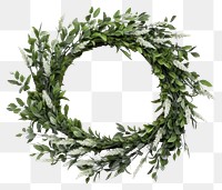 PNG Wreath plant leaf celebration