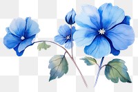 PNG Flower plant leaf blue transparent background
