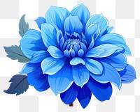 PNG Flower dahlia plant blue transparent background