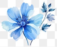 PNG Flower blossom petal plant transparent background