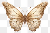 PNG Butterfly animal insect 