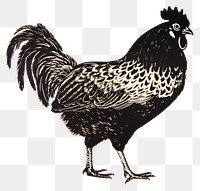 PNG Chicken poultry animal bird. AI generated Image by rawpixel.