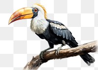 PNG Animal toucan bird beak. 