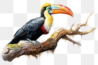 PNG Toucan animal branch bird. AI generated Image by rawpixel.